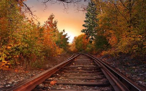 Landscapes Nature Trees Autumn Skylines Railroad Tracks