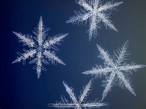 The Highest Ever Resolution Photos Of Snowflakes