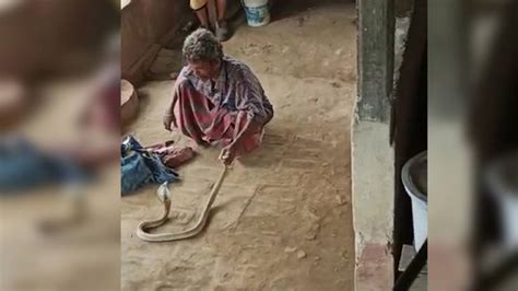 A Snake Charmer In Jaleswar Died A Tragic Death After A Cobra He Was