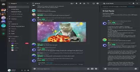 Discord To Update Its Clyde Bot With Openai Tech