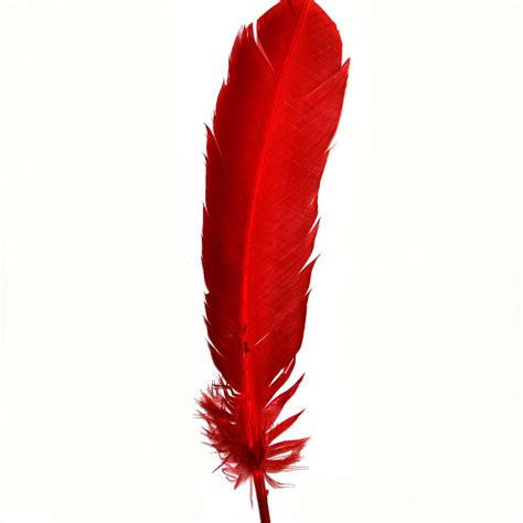Red Indian Feathers Diy And Crafts