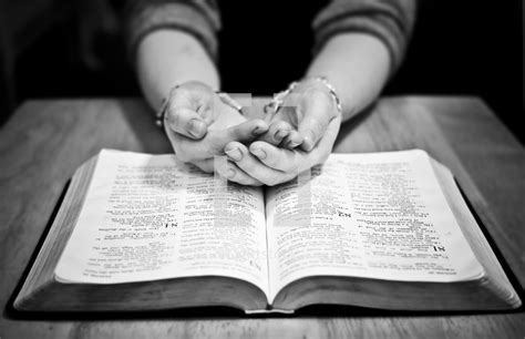 Hands Cupped In Prayer Over A Bible — Photo — Lightstock