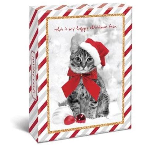 Holiday Cats Boxed 4 X 6 Christmas Cards 20 Glitter And Foil