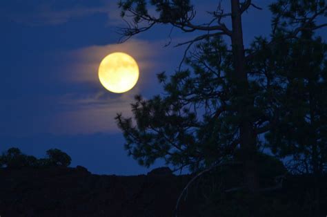Biggest Full Moon Of The Year Will Rise Over Oregon On Wednesday Night