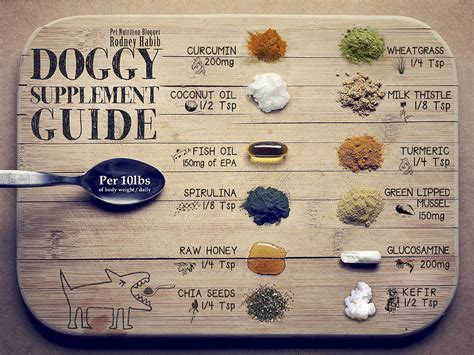 Doggy Supplement Chart Planet Paws