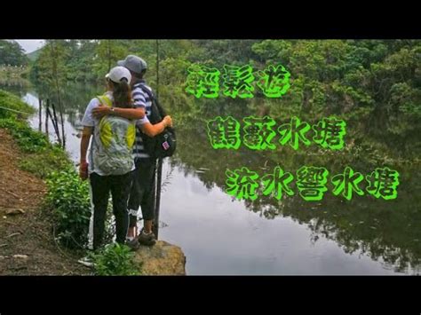 The site owner hides the web page description. 輕鬆遊~~鶴藪水塘 流水響水塘 - YouTube