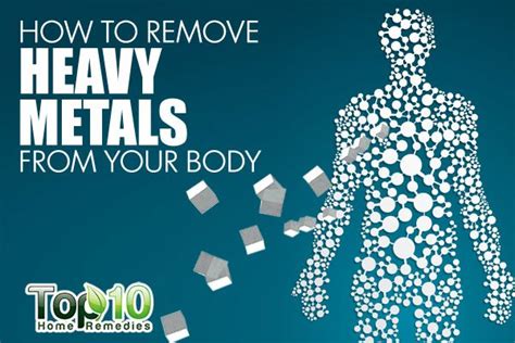How To Remove Heavy Metals From Your Body Top 10 Home Remedies