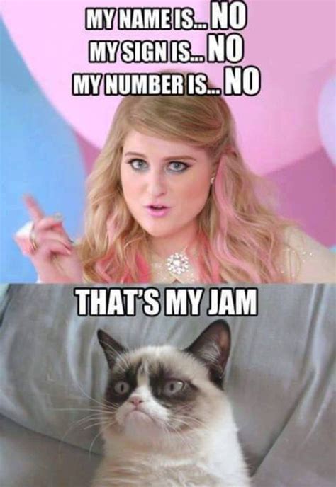 Grumpy Cat Quotes Funny Grumpy Cat Memes Cat Jokes Funny Cats Cats