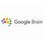 Google Brain Logo Design By Viraj Trivedi On Dribbble
