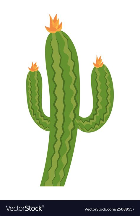 Desert Cactus Cartoon Royalty Free Vector Image