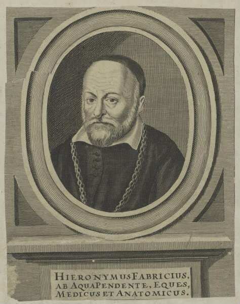 Bildnis des Hieronymus Fabricius ab AquaPendente - Deutsche Digitale ...