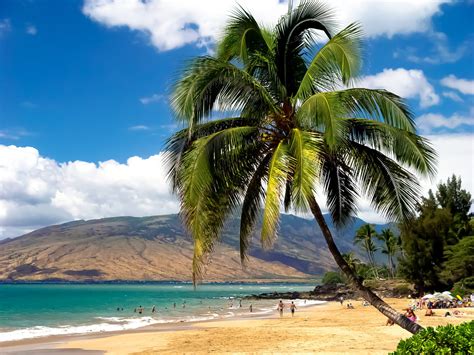 hawaï a voir météo monuments guide de voyage tourisme