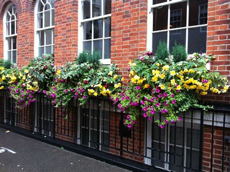 Colourful Summer Flowering Seasonal Window Boxes On Railings Window