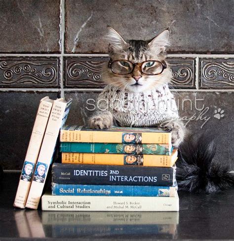 This Item Is Unavailable Etsy Cat Books Fine Art Photo Prints