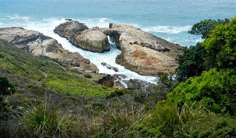 Mermaid Lookout Track Learn More Nsw National Parks