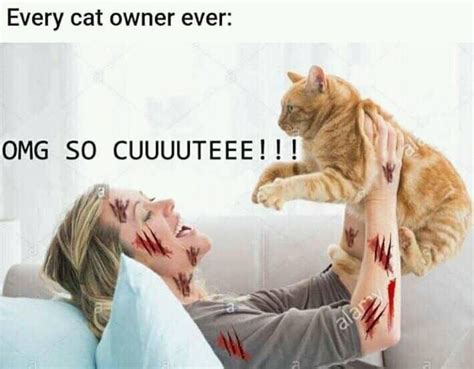 Cat Owner With A Lot Of Scratches But Still Happy With Her Cat Keep Meme