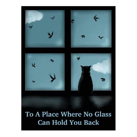 Black Cat Looking Out Window At Heaven Postcard