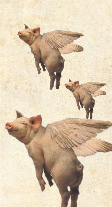 Pigs In Space Creative Pictures Pinterest Pigs Cherub And Spaces