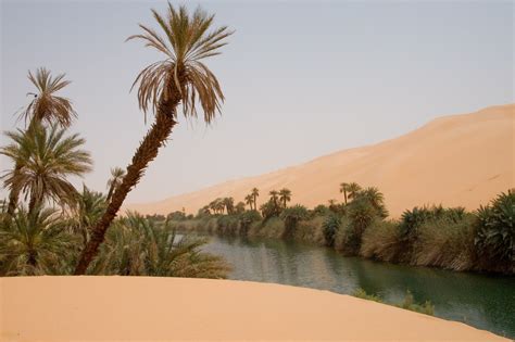 El Oasis Lagos De Ubari Oasis En El Desierto De Libia Luca Galuzzi