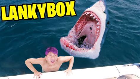 Lankybox Fell Into The Shark Tank Then Youtube