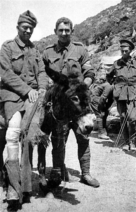 Wargames Obsession Gallipoli Simpson And His Donkey