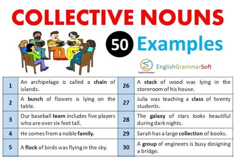 Collective Nouns Sentences Examples Englishgrammarsoft