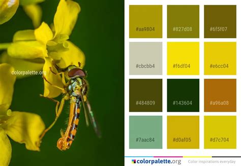 Insect Honey Bee Color Palette