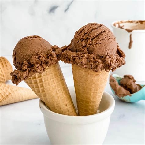 Addictive Homemade Chocolate Ice Cream Recipe Tara Teaspoon