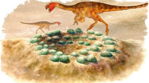 Neutron Source Enables A Look Inside Dino Eggs