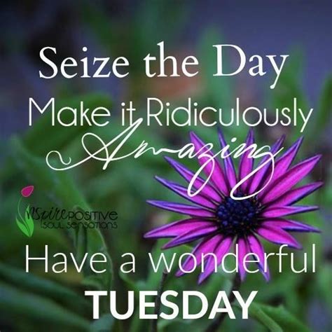 Make The Day Amazing Have A Wonderful Tuesday Morning Quote