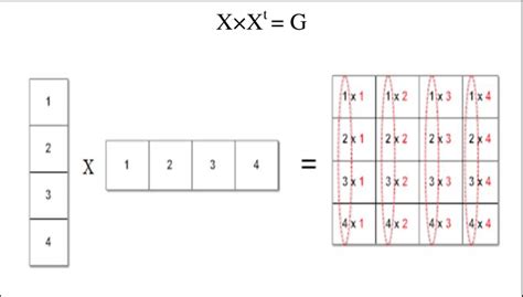 Example Of 1 Dimensional Vector Multiplication Download Scientific