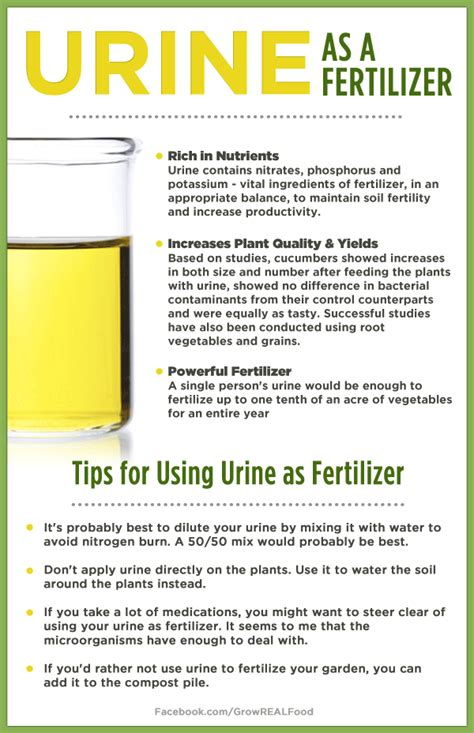Urine As A Fertilizer For More Garden Tips Homesteading Tips And More Visit Growrealfood