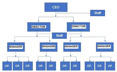 Project Management Organizational Structures Software Engineering