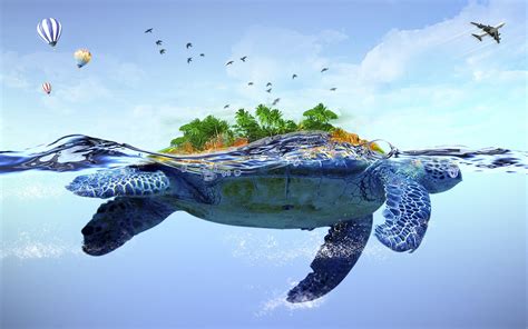 Turtle Wallpapers Top Free Turtle Backgrounds Wallpaperaccess