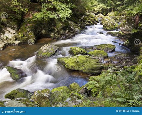 Wild River With Mossy Stones In Forest Stock Image Image Of Stone