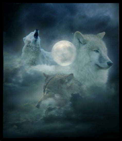 Pin By Lori Berland On Favourite Wolves Wolf Pictures Wolf Spirit