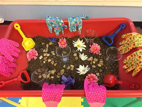 Our Garden Was A Hit Sensory Tubs Growing Plants Coach Dinky