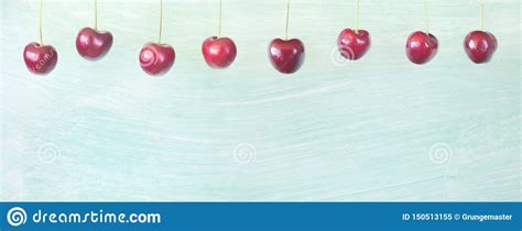 Red Cherries Hanging In A Row On Green Background Large Panoramic Format Stock Image Image Of