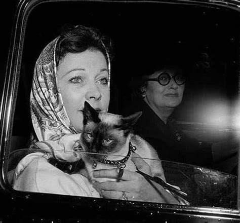 Vivien Leigh 1960 With Her Cat Beautiful Cats Vivien Leigh Cool Cats