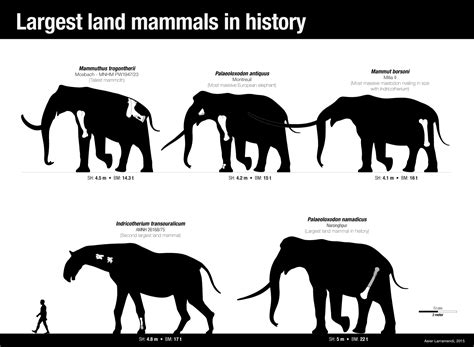The Largest Land Mammals In History By Asier Larramendi On Deviantart
