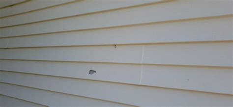 Signs Of Hail Damage To Your Home Five Points Roofing