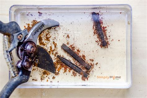 How To Clean And Restore Rusty Tools Vinegar Baking Soda Coke