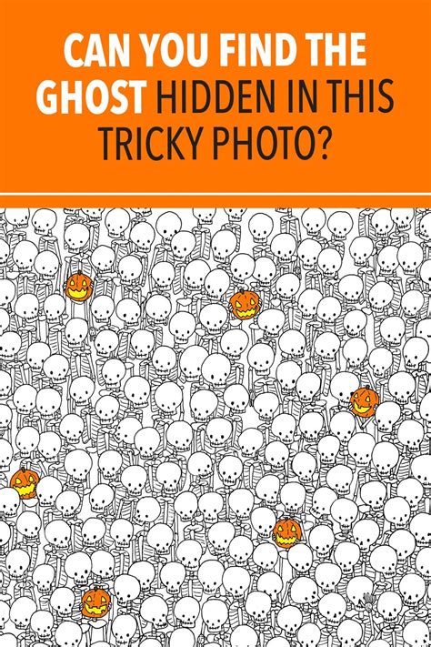 Can You Find Picture Puzzles
