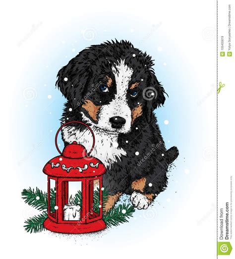 Christmas (41) dog (28) dog movie (17) christmas movie (15) christmas eve (9) holiday in title (9) pet (2) cartoon dog (2) childhood friend (2) childhood memory (2) christmas present (2) dog's. Beautiful Puppy With A Vintage Christmas Lantern. Vector ...