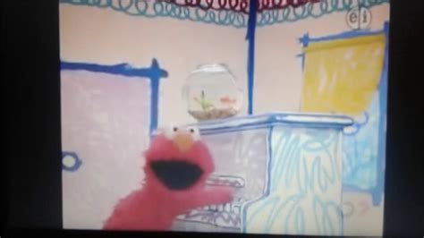 Elmos World The Bird Song And The Wild Animal Song Combined Youtube