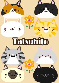 Tatsuhito Scandinavian Cute Cat Tema LINE LINE STORE