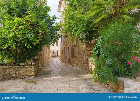 Bale In Istria Stock Image Image Of Bush Homes Cobbled 128575403