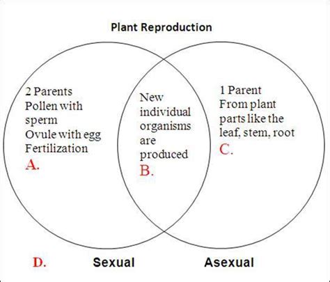 Asexual Vs Sexual Reproduction Venn Diagram Free Diagram For Student