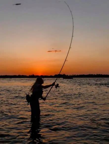 Complete Guide To Surf Fishing Siesta Key Fishing Charters