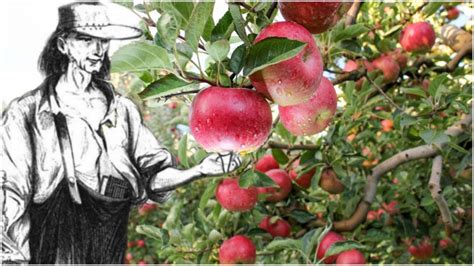 Johnny Appleseed His Trees Invigorated The Early Frontier But His Life